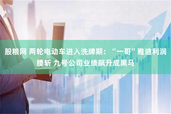 股粮网 两轮电动车进入洗牌期：“一哥”雅迪利润腰斩 九号公司业绩飙升成黑马