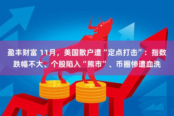 盈丰财富 11月，美国散户遭“定点打击”：指数跌幅不大、个股陷入“熊市”、币圈惨遭血洗